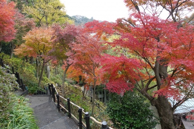 長谷寺2