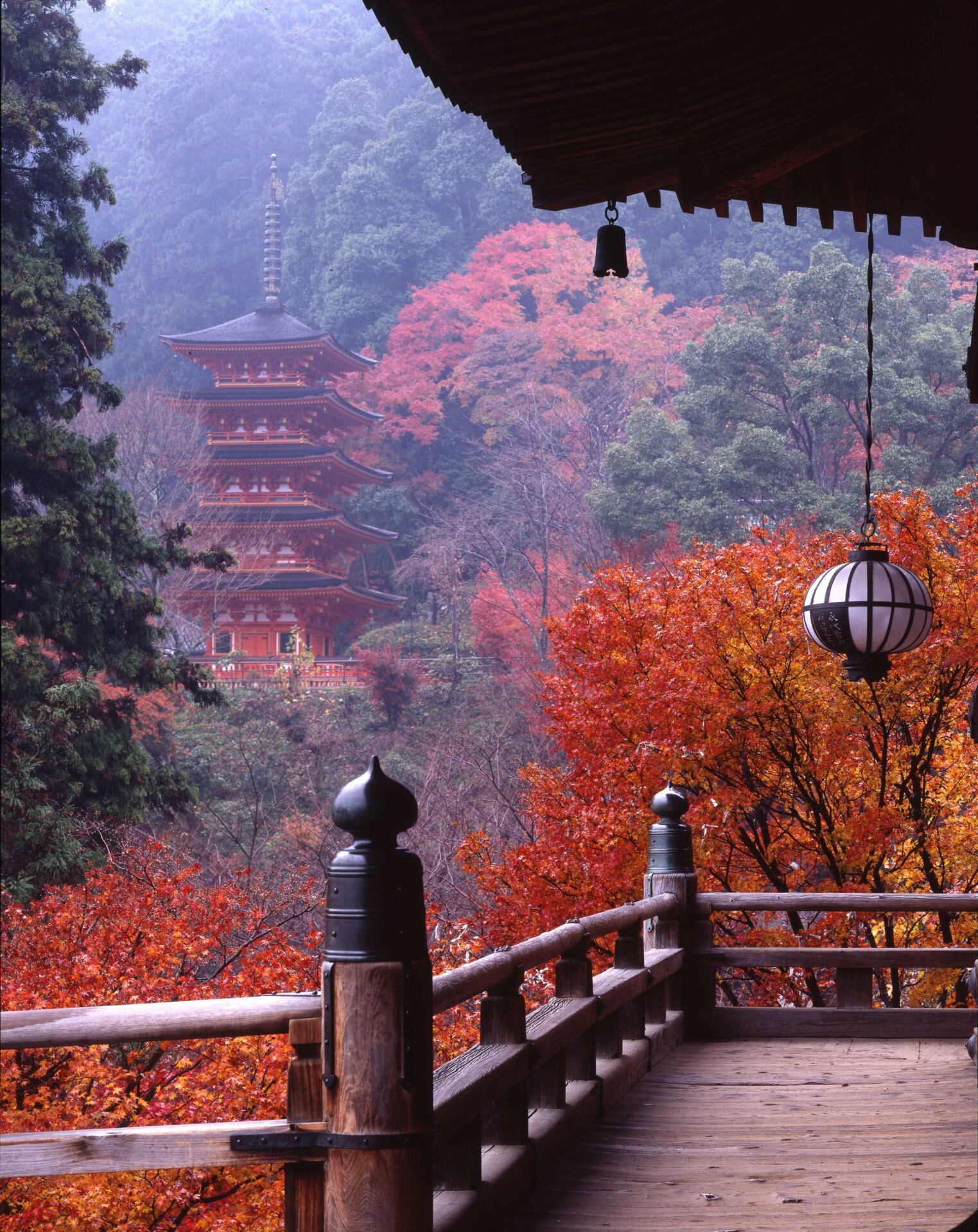 長谷寺_写真提供一般財団法人奈良県ビジターズビューロー (2)