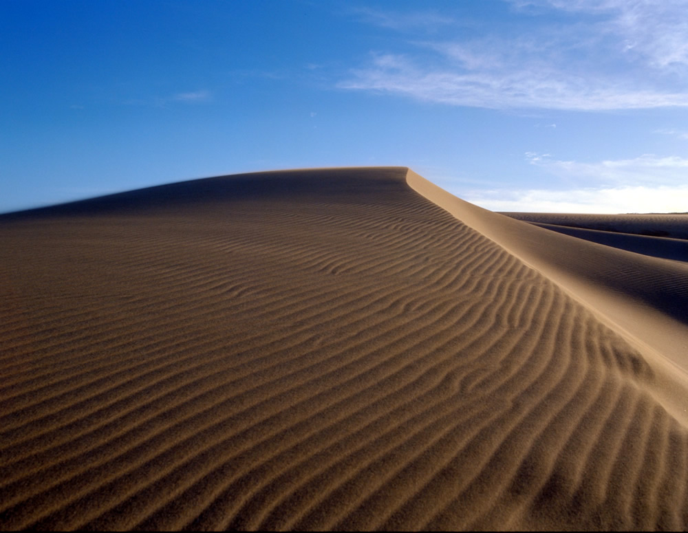 鳥取砂丘4／◎／鳥取県文化観光局観光政策課／110827