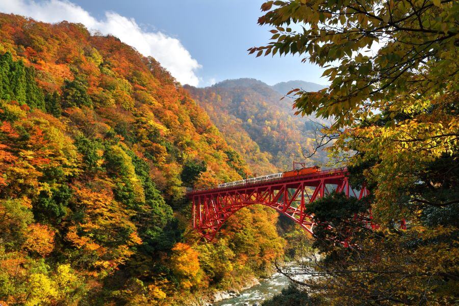 黒部峡谷鉄道1©(公社)とやま観光推進機構