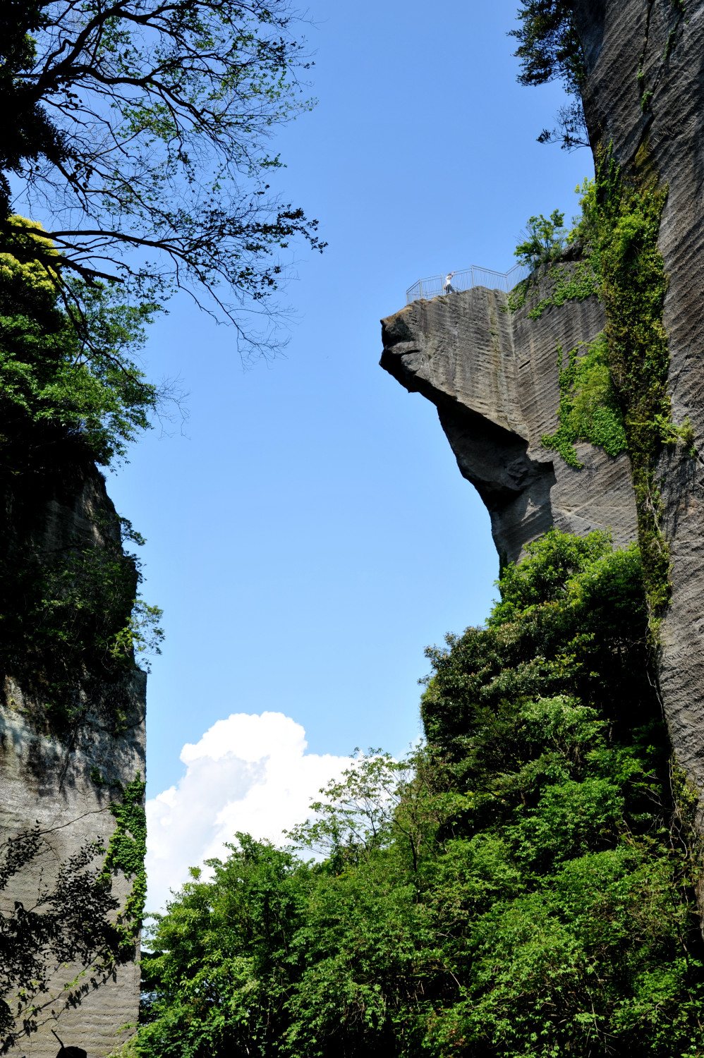 3226_鋸山・地獄のぞき