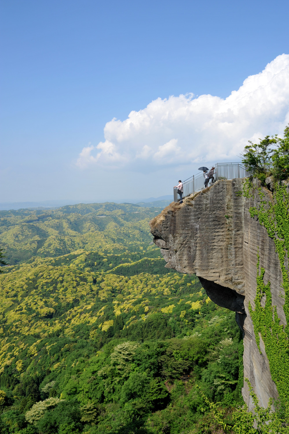 3227_鋸山・地獄のぞき