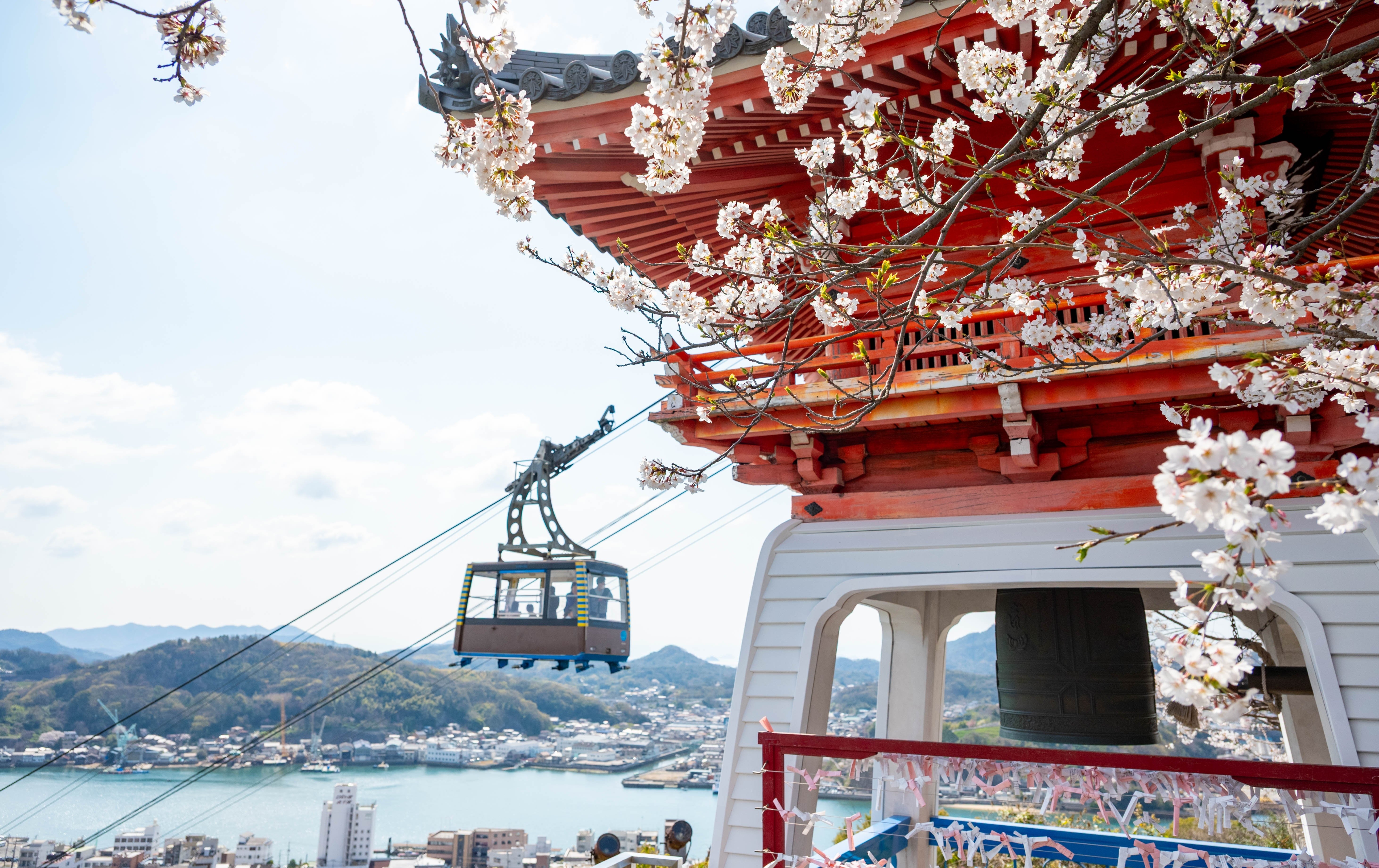 No7637_桜と千光寺鐘楼 (1)