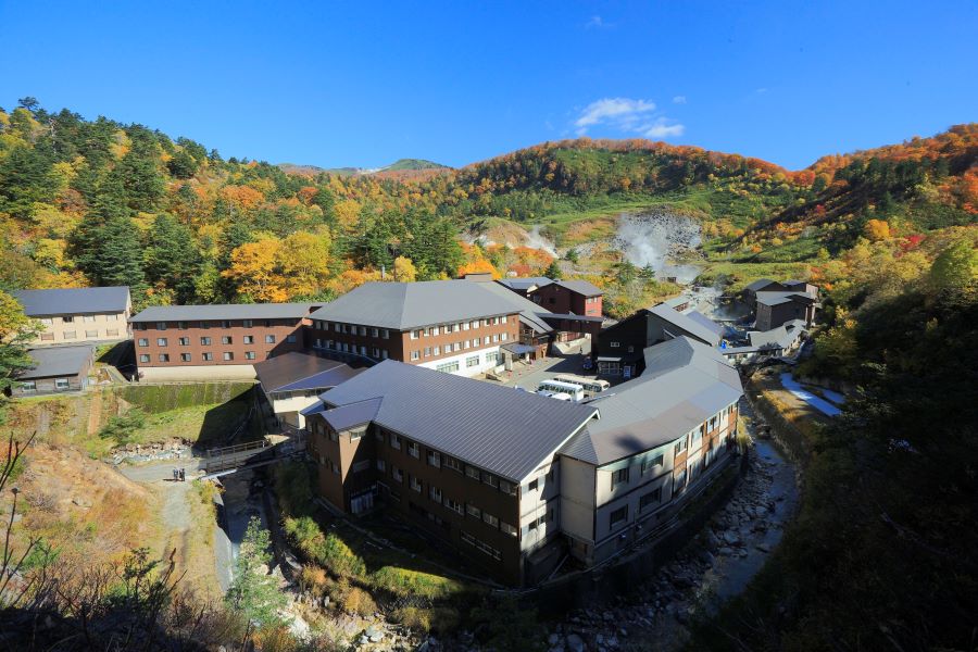 【3個売り】玉川の湯 リラクゼーション 本物にこだわった究極の癒し 温泉 長野県内発】みちのく秘湯めぐり！酸ヶ湯温泉・玉川温泉・乳頭温泉 3